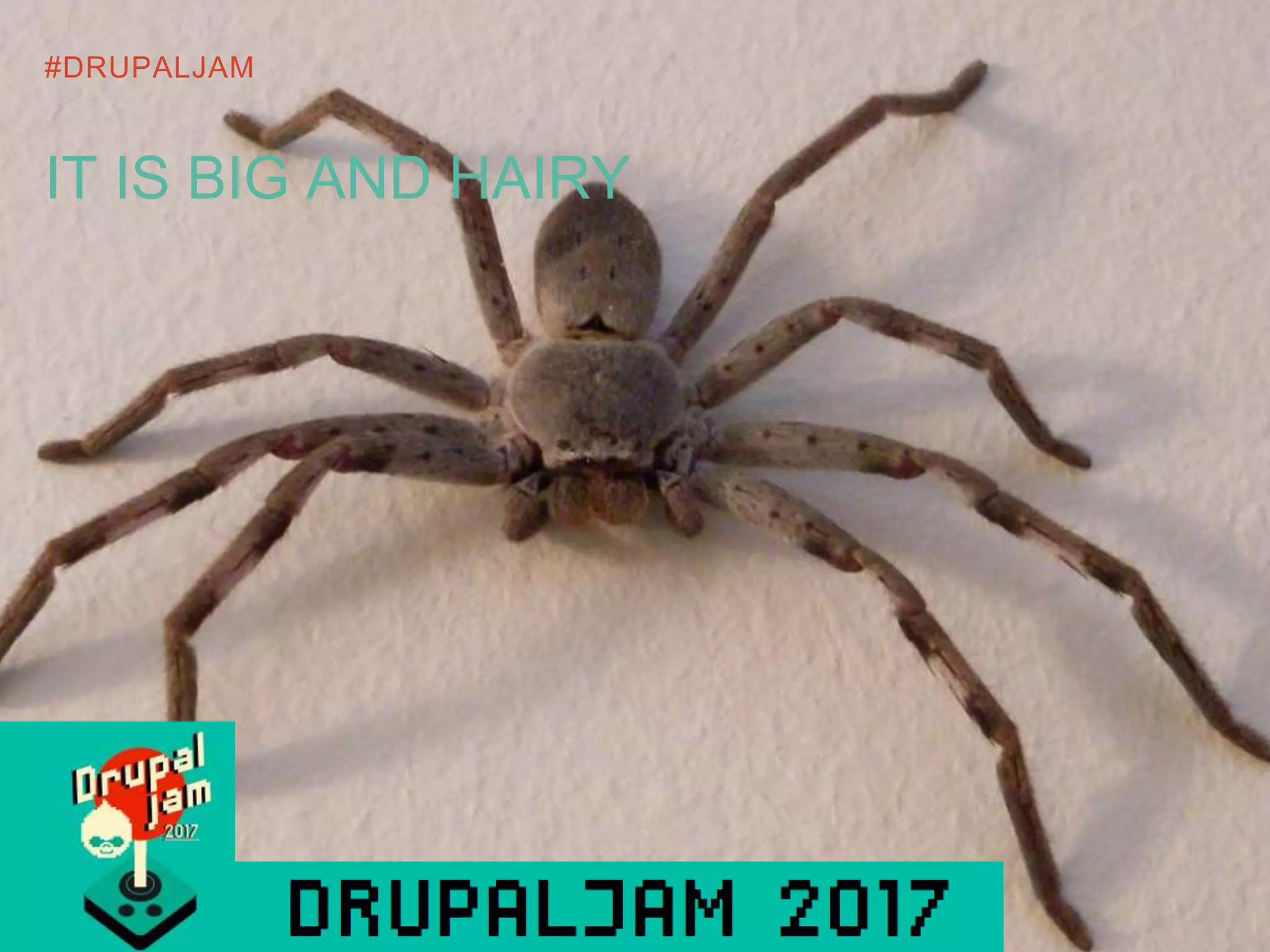 #DRUPALJAM
IT IS BIG AND HAIRY
 