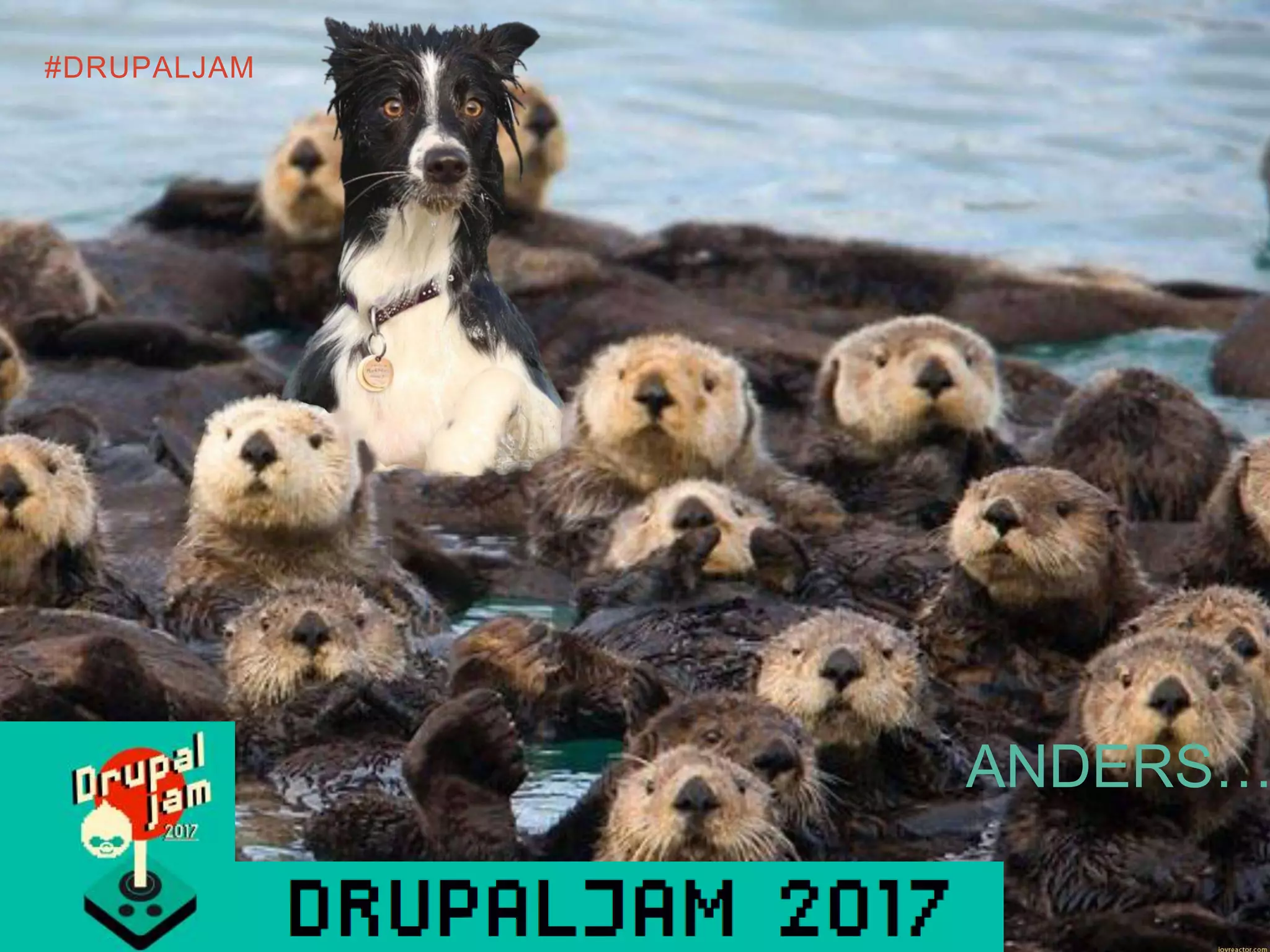 #DRUPALJAM
ANDERS…
 