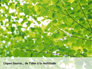 L’open Source… de l’idée à la multitude
 