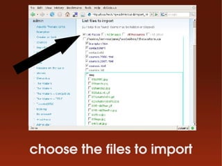 choose the files to import