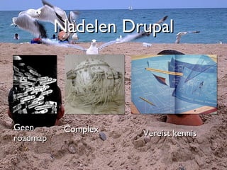 Nadelen Drupal Geen roadmap Complex Vereist kennis 