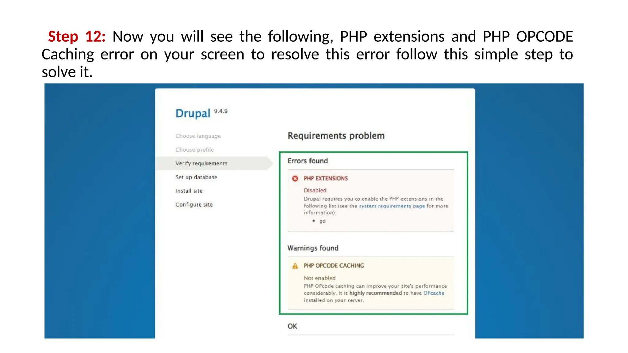 Step 12: Now you will see the following, PHP extensions and PHP OPCODE
Caching error on your screen to resolve this error follow this simple step to
solve it.
 