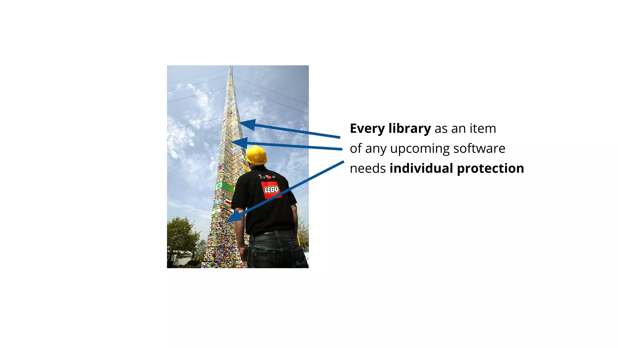 Every library as an item
of any upcoming software
needs individual protection
 