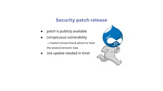 Security patch release
● patch is publicly available
● conspicuous vulnerability
→ hackers know how & where to hack
the several versions now
● site update needed in time!
 