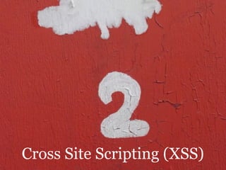 Cross Site Scripting (XSS)
 