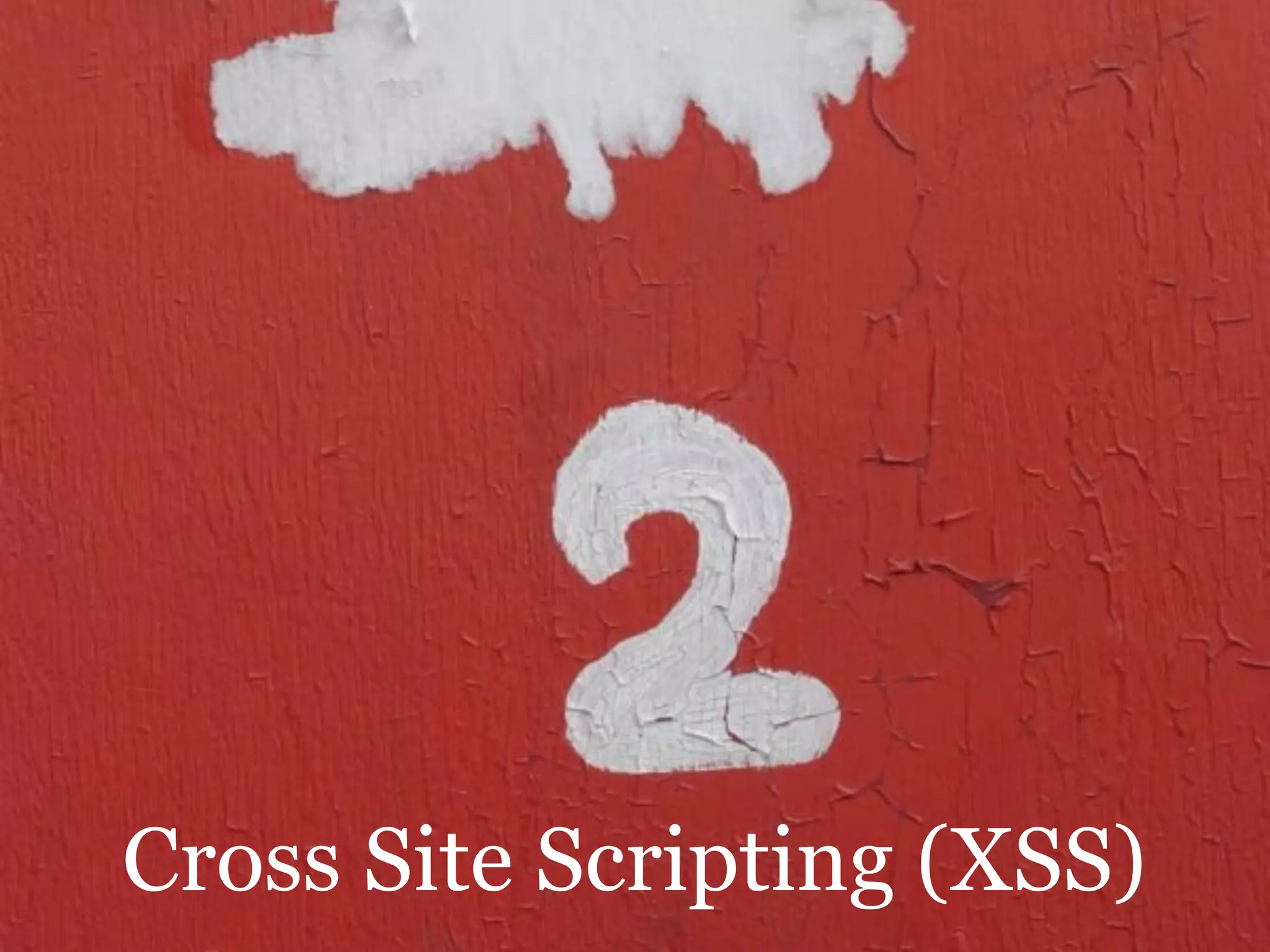 Cross Site Scripting (XSS)
 