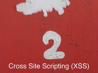 Cross Site Scripting (XSS)
 