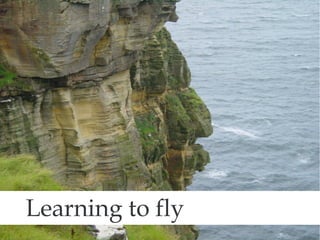 Learning to fly 