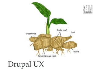 Drupal UX 