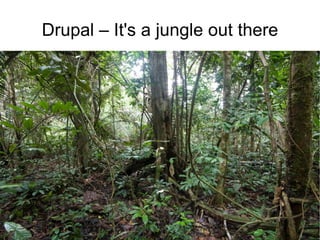 Drupal – It's a jungle out there 