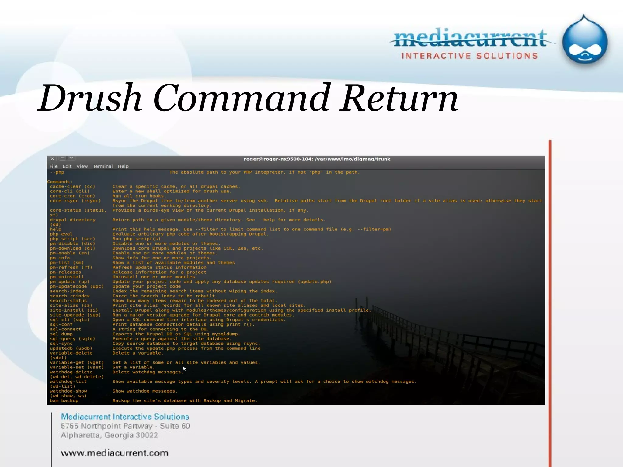 Drush Command Return ` 