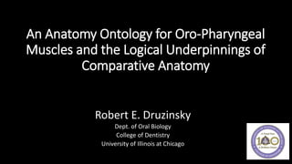 An Anatomy Ontology for Oro-Pharyngeal
Muscles and the Logical Underpinnings of
Comparative Anatomy
Robert E. Druzinsky
Dept. of Oral Biology
College of Dentistry
University of Illinois at Chicago
 