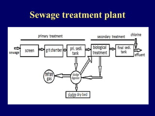 Sewage treatment plant
 