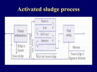 Activated sludge process
 
