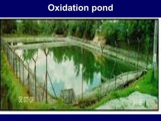 Oxidation pond
 