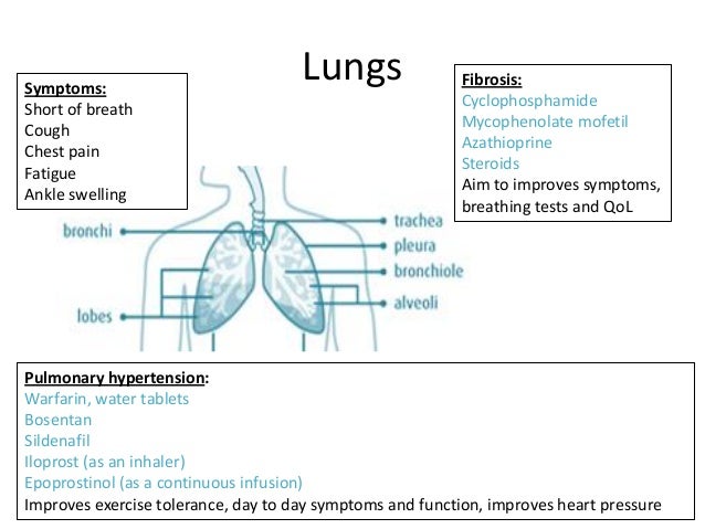 Metoclopramide Dosing In Dialysis
