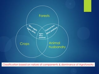 Doubling farmers income through agroforestry systems | PDF