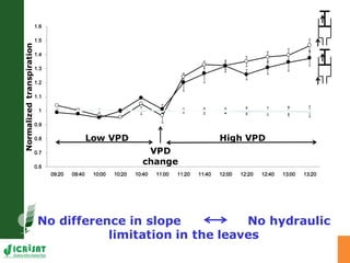 Developing crops with high productivity at high temperature: A blue sky research initiative