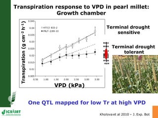 Developing crops with high productivity at high temperature: A blue sky research initiative