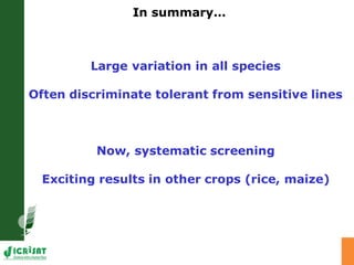 Developing crops with high productivity at high temperature: A blue sky research initiative