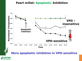 Developing crops with high productivity at high temperature: A blue sky research initiative