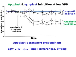 Developing crops with high productivity at high temperature: A blue sky research initiative