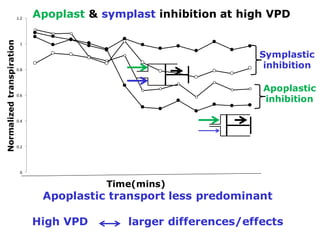 Developing crops with high productivity at high temperature: A blue sky research initiative