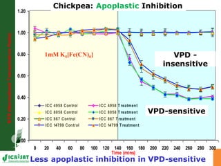 Developing crops with high productivity at high temperature: A blue sky research initiative