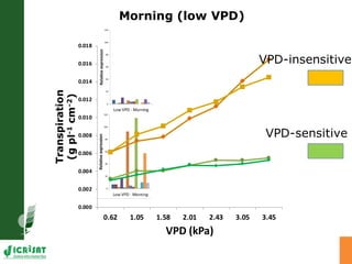Developing crops with high productivity at high temperature: A blue sky research initiative
