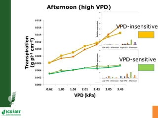 Developing crops with high productivity at high temperature: A blue sky research initiative