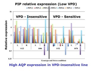 Developing crops with high productivity at high temperature: A blue sky research initiative