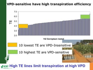 Developing crops with high productivity at high temperature: A blue sky research initiative