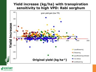 Developing crops with high productivity at high temperature: A blue sky research initiative