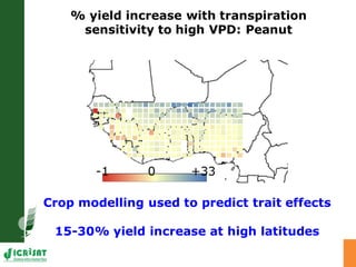 Developing crops with high productivity at high temperature: A blue sky research initiative