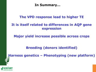 Developing crops with high productivity at high temperature: A blue sky research initiative