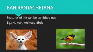 BAHIRANTACHETANA
Features of life can be exhibited out.
Eg.: Human, Animals, Birds
 