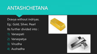 ANTASHCHETANA
Dravya without indriyas.
Eg.: Gold, Silver, Pearl
Its further divided into :
1) Vanaspati
2) Vanaspatya
3) Virudha
4) Aushadha
 