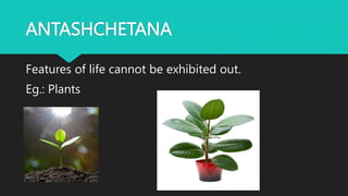 ANTASHCHETANA
Features of life cannot be exhibited out.
Eg.: Plants
 