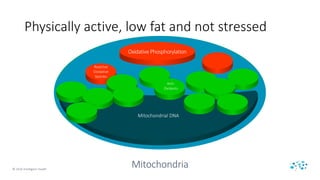 © 2016 Intelligent Health
Physically active, low fat and not stressed
Mitochondria
Oxidative Phosphorylation
Reactive
Oxid...