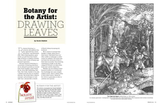 Botany for
                         the Artist:
               Drawing
                Leaves
                                            by Sarah Simblet




               B
                         otanical drawing is a           of detail without becoming too
                         centuries-old tradition that    technical.
                         has captivated fine artists,        We’ve chosen to excerpt from
                         naturalists, and illustrators   Simblet’s chapter about how to
               alike. When drawing plants, great         draw leaves. Individual leaves are
               artists can pull from their knowl-        often visible in landscapes or other
               edge of botany to combine scientific      scenes set outdoors, but artists may
               accuracy with a sense of beauty and       not know the intricacies of how to
               personal expression.                      draw them accurately. Even knowing
                   Because botanical drawing is a        something as simple as the basic
               cornerstone of drawing education,         categories of leaves can help artists
               we are pleased to present an excerpt      draw more realistic depictions.
               from Sarah Simblet’s book Botany              Whether you are looking to draw
               for the Artist (DK Publishing, New        botanical studies or to incorporate
               York, New York). Simblet is not only      this knowledge into more complex
               a skilled artist but also an excellent    outdoor scenes, there is always more
               educator. She breaks down subjects,       to learn about nature. Botany for
               concepts, and techniques in mul-          the Artist is a great place to start or
               tiple ways, and provides a wealth         continue your pursuit.




                                                 Botany For the artist
                                                 This article is excerpted from Sarah Simblet’s
                                                 recent book Botany for the Artist (DK Publish-
                                                 ing, New York, New York). The book contains
                                                 hundreds of pages of advice about how to
                                                 draw plant roots, stems, leaves, flowers, fruit,
                                                 and more. For more information or to order a                                                                             The Flight Into Egypt by Albrecht Dürer, ca. 1500, woodcut.
                                                 copy, visit http://us.dk.com.                                                  For centuries, great artists —including Dürer—have studied botany and included detailed plants in their compositions both to enhance verisimilitude
                                                                                                                                                                                and visual interest and to add symbolic meaning.


52   DRAWING                                                                                        www.ArtistDaily.com   www.ArtistDaily.com                                                                                                                         WINTER 2011     53
 