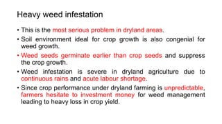 Heavy weed infestation
• This is the most serious problem in dryland areas.
• Soil environment ideal for crop growth is also congenial for
weed growth.
• Weed seeds germinate earlier than crop seeds and suppress
the crop growth.
• Weed infestation is severe in dryland agriculture due to
continuous rains and acute labour shortage.
• Since crop performance under dryland farming is unpredictable,
farmers hesitate to investment money for weed management
leading to heavy loss in crop yield.
 