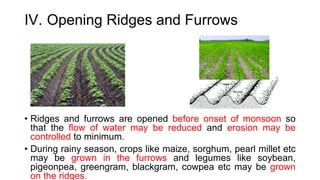 IV. Opening Ridges and Furrows
• Ridges and furrows are opened before onset of monsoon so
that the flow of water may be reduced and erosion may be
controlled to minimum.
• During rainy season, crops like maize, sorghum, pearl millet etc
may be grown in the furrows and legumes like soybean,
pigeonpea, greengram, blackgram, cowpea etc may be grown
on the ridges.
 
