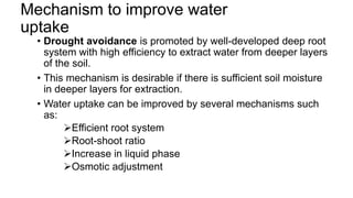 Mechanism to improve water
uptake
• Drought avoidance is promoted by well-developed deep root
system with high efficiency to extract water from deeper layers
of the soil.
• This mechanism is desirable if there is sufficient soil moisture
in deeper layers for extraction.
• Water uptake can be improved by several mechanisms such
as:
Efficient root system
Root-shoot ratio
Increase in liquid phase
Osmotic adjustment
 