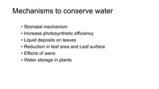 Mechanisms to conserve water
• Stomatal mechanism
• Increase photosynthetic efficiency
• Liquid deposits on leaves
• Reduction in leaf area and Leaf surface
• Effects of awns
• Water storage in plants
 