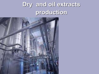 Dry and oil extracts
production
 