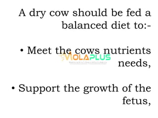 A dry cow should be fed a
balanced diet to:-
• Meet the cows nutrients
needs,
• Support the growth of the
fetus,
 