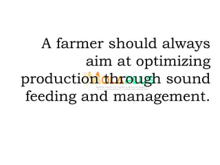 A farmer should always
aim at optimizing
production through sound
feeding and management.
 