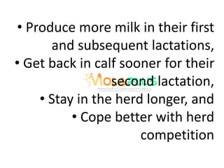 • Produce more milk in their first
and subsequent lactations,
• Get back in calf sooner for their
second lactation,
• Stay in the herd longer, and
• Cope better with herd
competition
 