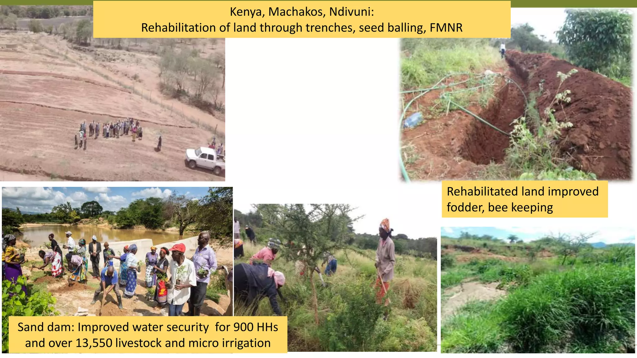 Transforming Lives and Landscapes with Trees
Kenya, Machakos, Ndivuni:
Rehabilitation of land through trenches, seed balling, FMNR
Rehabilitated land improved
fodder, bee keeping
Sand dam: Improved water security for 900 HHs
and over 13,550 livestock and micro irrigation
 