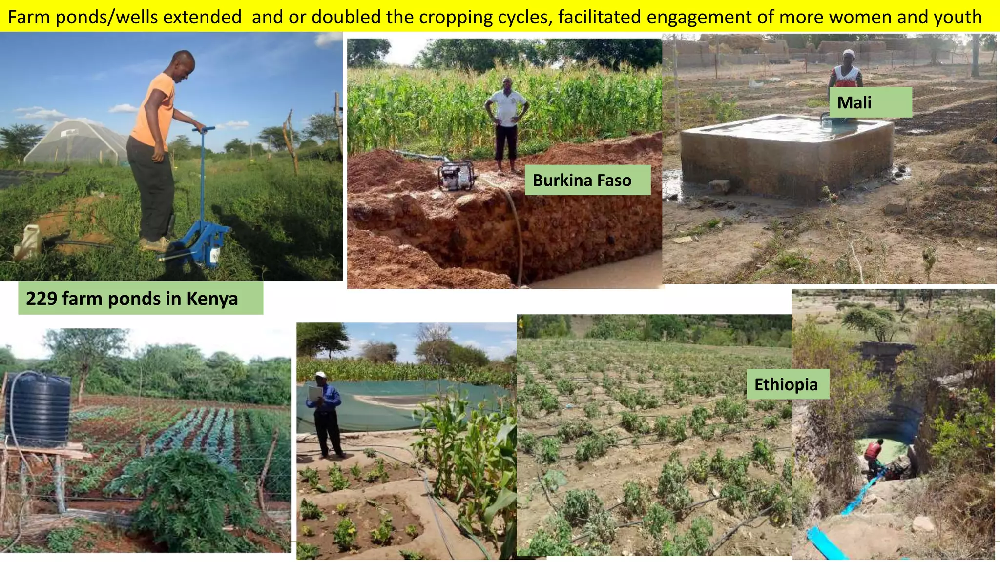 Transforming Lives and Landscapes with Trees
Burkina Faso
Mali
Ethiopia
229 farm ponds in Kenya
Farm ponds/wells extended and or doubled the cropping cycles, facilitated engagement of more women and youth
 